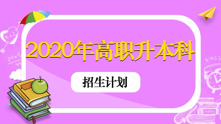 恭学网校|2020年天津市高职升本科招生计划